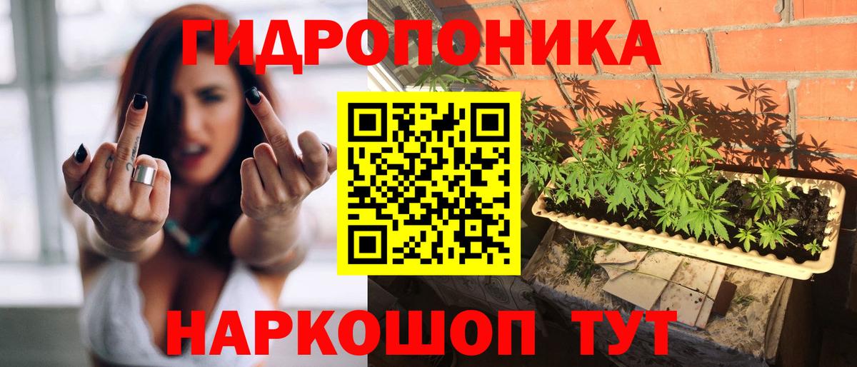 Бошки Шишки Ganja Луга
